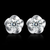 Women's Silver Fashion Earring - ShopWayMore
