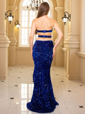 Strapless Sequin Elegant maxi Dress