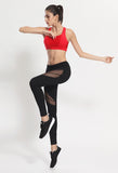 Women's Mesh Trouser Legging Pants for Workout  Gym Fitness - ShopWayMore